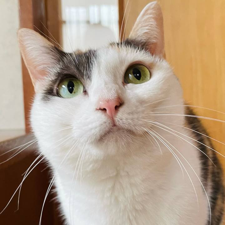 900ad2c3 2926 418d b90f b8db8840b745 1636425266010