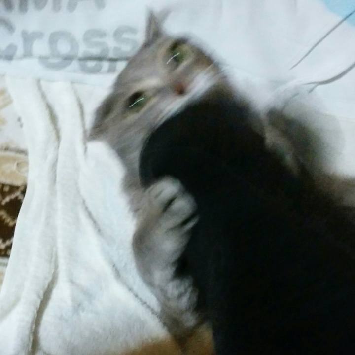 900ada32 bcee 4ce5 b1cf fa089f3a7148 1574506582913