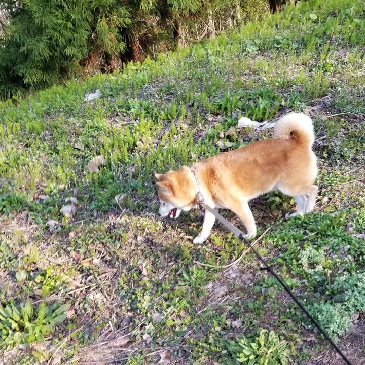 900af744 514b 4469 98f1 32574a839220 1618918456500