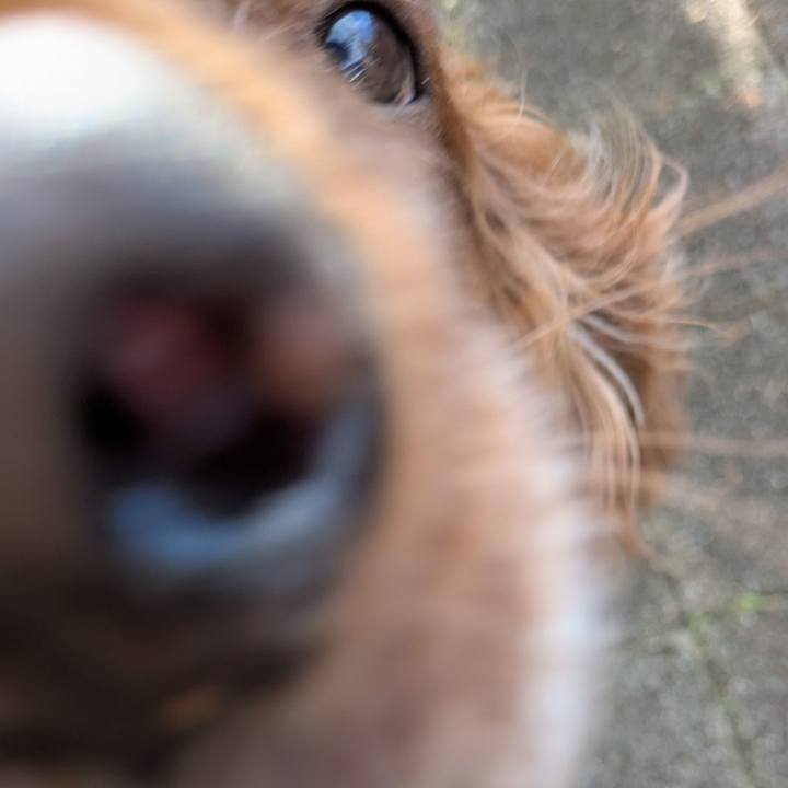 900b2a48 ae7d 433b 9250 0edef9b6b160 1765344858472