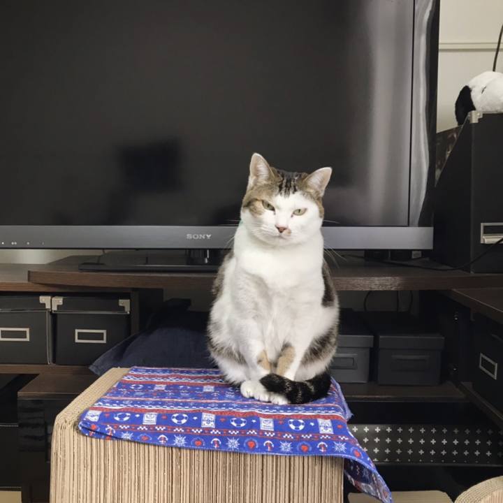 900b7239 3bdc 4420 aded 58468f7c2a70 1546051372960