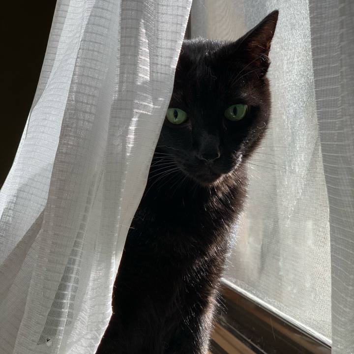 900b7b75 8bf6 4cfa a700 7fac0850326b 1604454673476