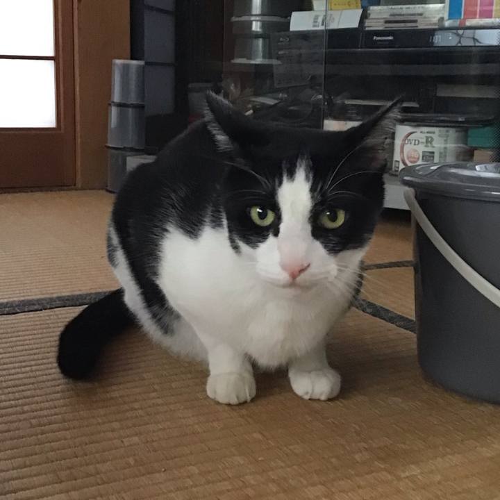 900b82ae 31a6 45a7 bff8 f43ac57c72f3 1760325207176