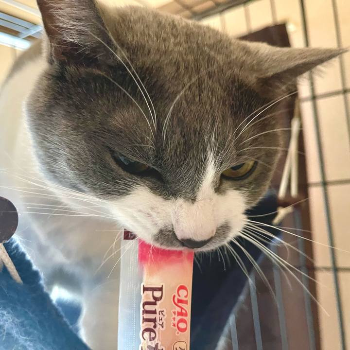 900bd77e 3148 426b 9654 13b5ff2ce22a 1660718781487