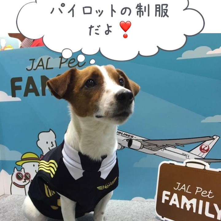 900be3b2 34dd 4e46 b799 d613cafa333b 1522590214940