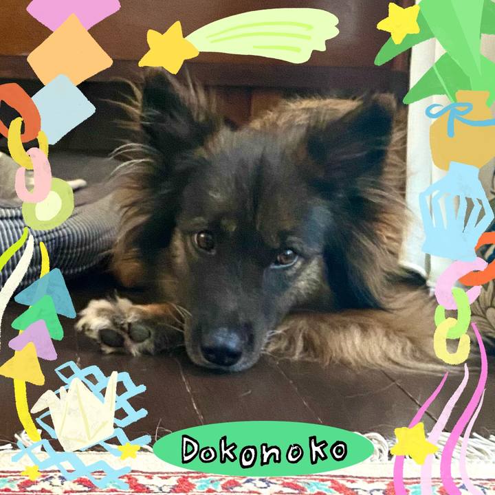 900c08e4 3054 4219 ab9b 988d35cffa00 1755062436235