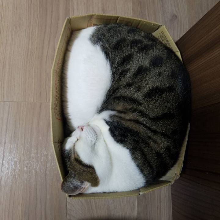 900c263d 2362 43ec 873c 4a7a35e92a0f 1594584865165