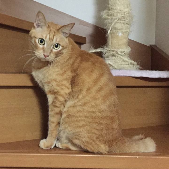 900c3ae6 32fe 4015 8320 a07636c52f72 1538832709866