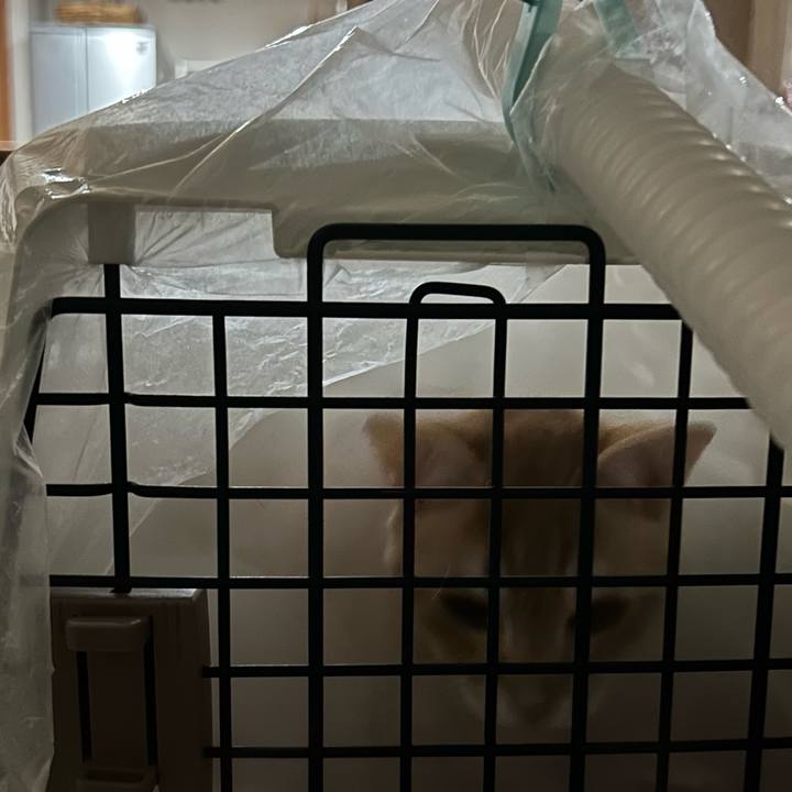 900cc98d fdd2 46d2 9f93 80d123982e68 1684083010334