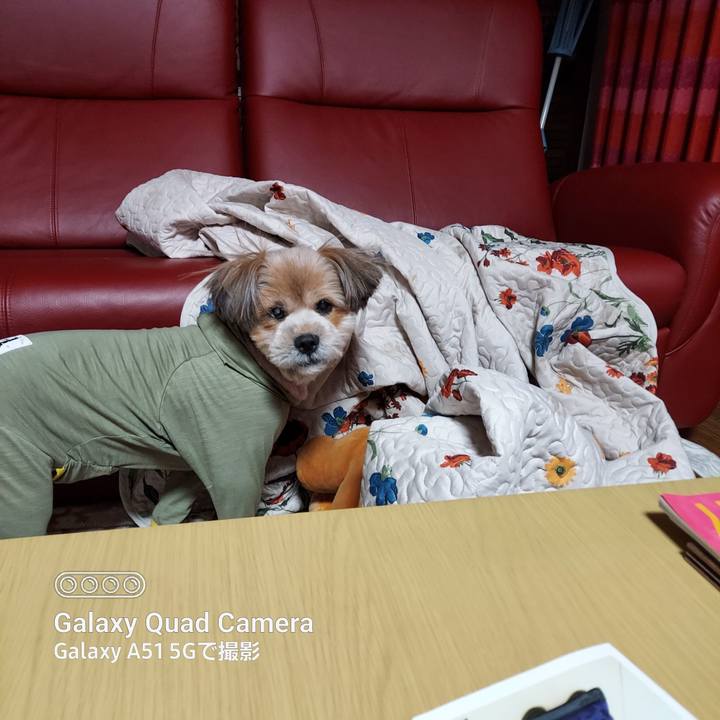 900d02d9 9171 41c6 bd3b 8f67984ddca1 1672486663642