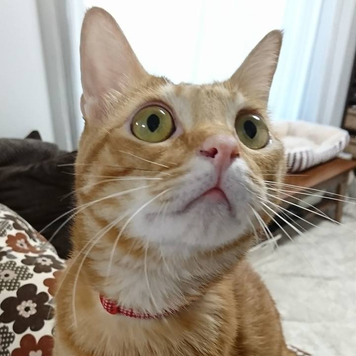 900d2fe0 6b96 4e40 ad5d dd48db5a5285 1509576627787