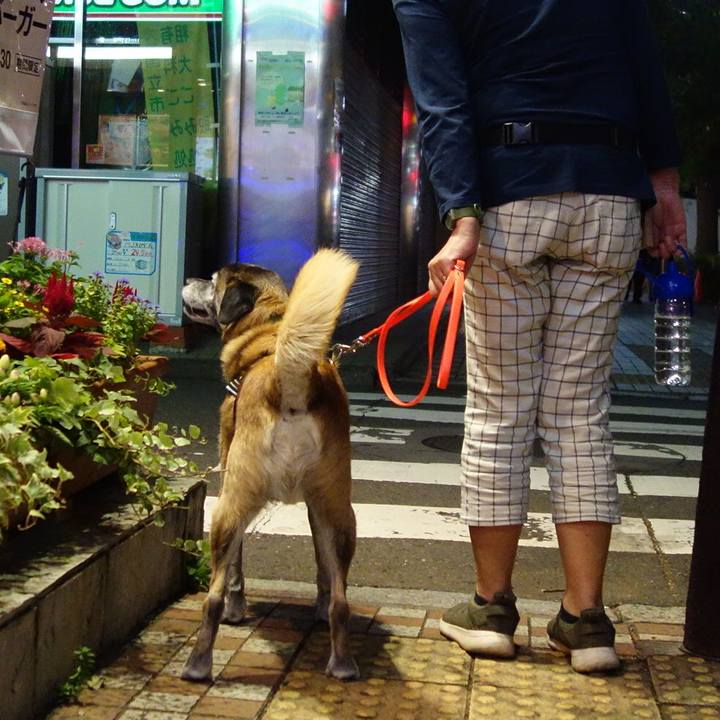 900d5392 4d4d 4b49 a6e8 5f43af921616 1727917266519