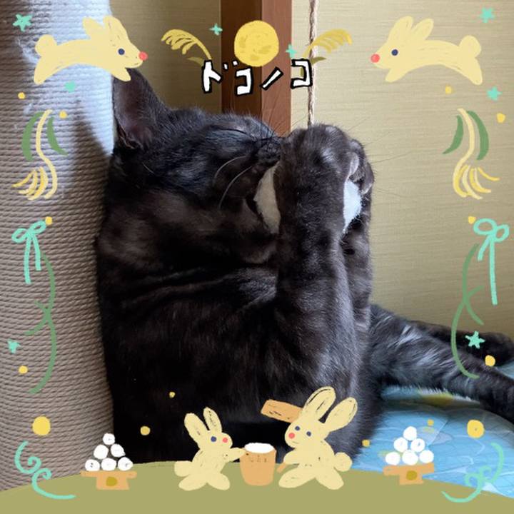 900d5cec fd0e 4b4f b98b aa64857cab31 1727084792392