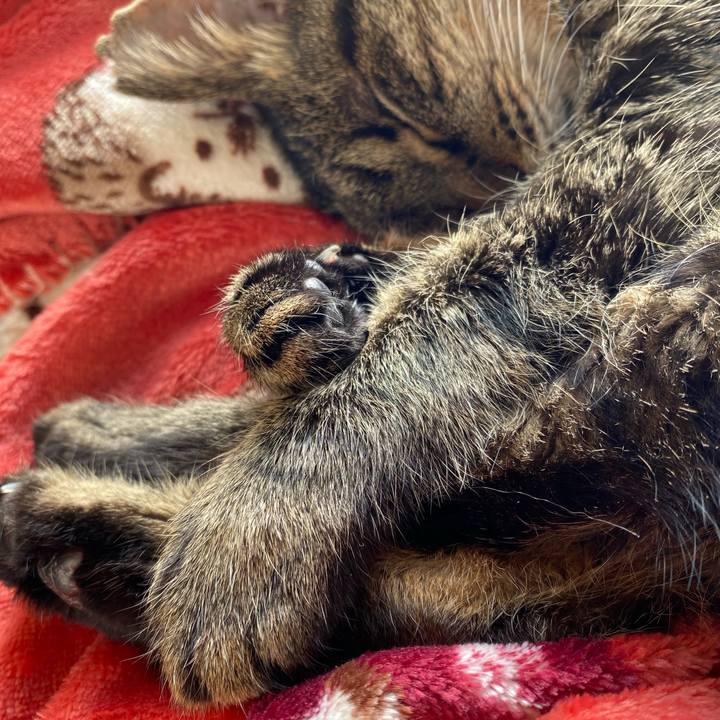 900d6a29 aa0b 4d63 9b7e c2fc20b316e7 1672301221596