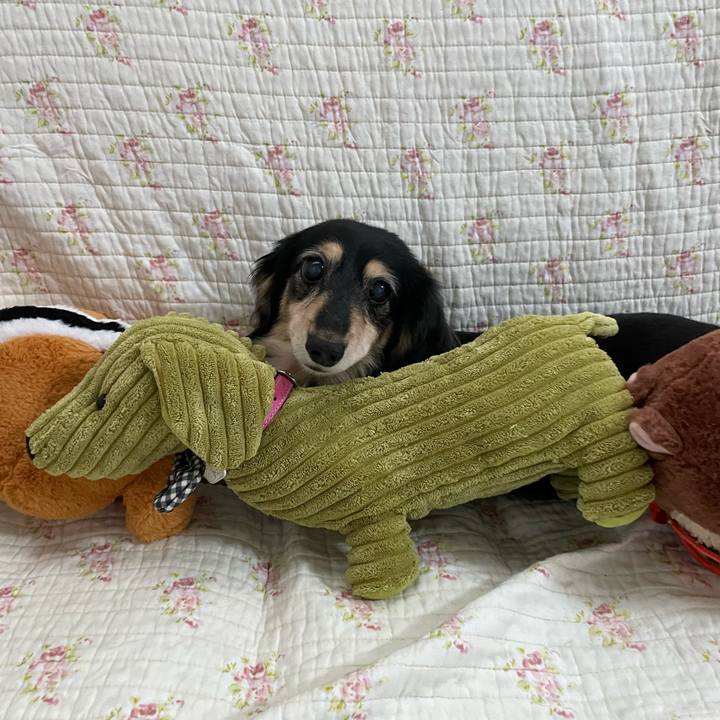 900d6f6c b1ca 4206 97f0 5e38677e08a3 1657976706613