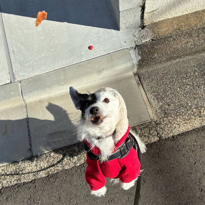 900d8d3a 765e 4ab6 b9f5 5aaaf62162fe 1762213548553