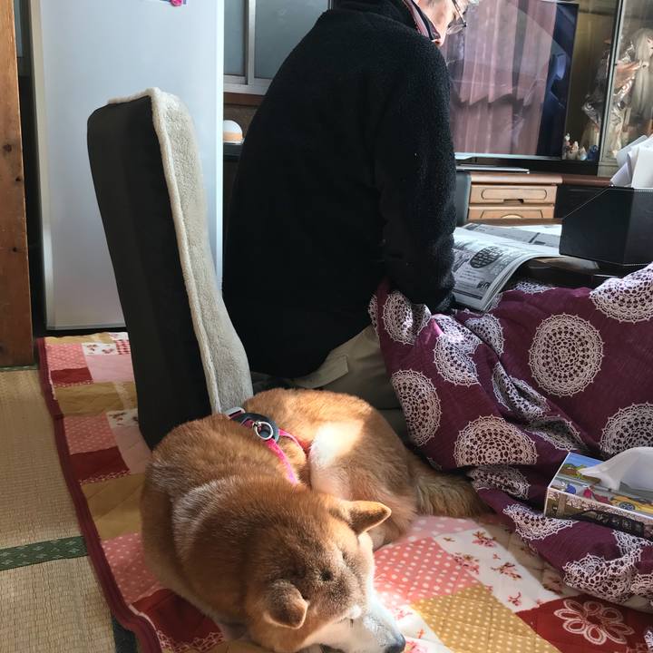 900e3740 26dd 4f8a 969e 785a45b7823c 1517735325403