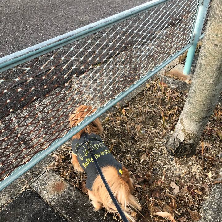 900e6cc7 af69 4f9d be60 d3c066df07c0 1545949119506