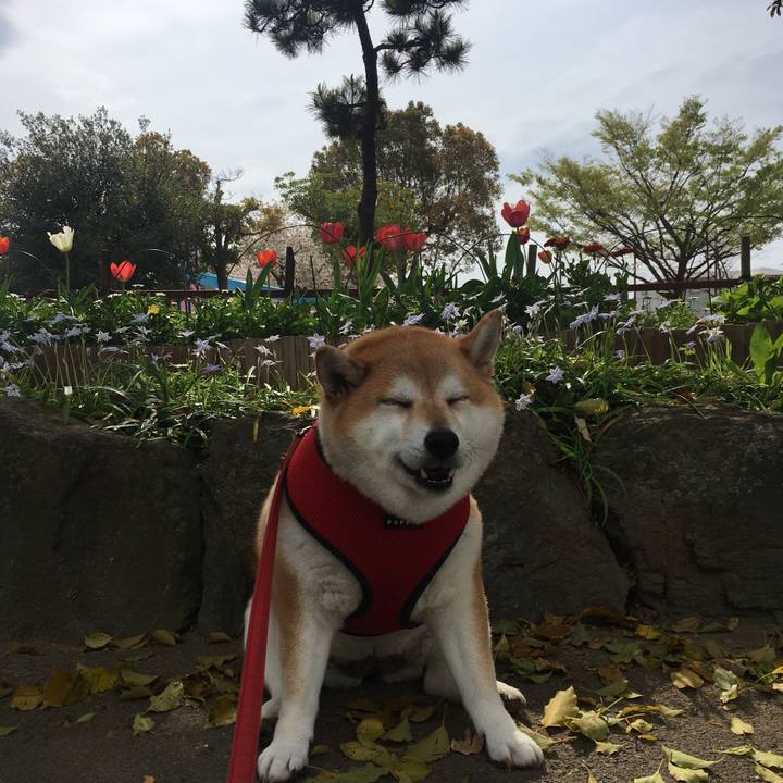 900eaef6 86a6 430f 8bab 572b3ea902ad 1616893682592