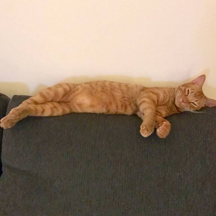 900ebbe4 1bea 4583 8531 04f78c7313a3 1602111046384