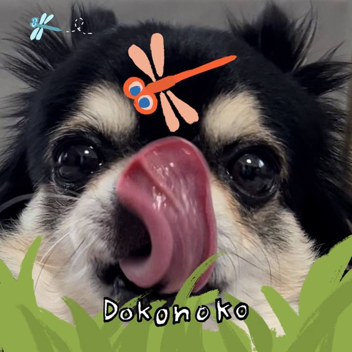 900ed70c 9ad5 475c b789 b3361e6dbf44 1726900287321