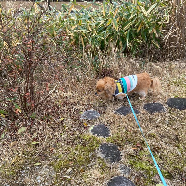 900ed83b 0db5 4397 a640 5d2fd559dff5 1610328559440