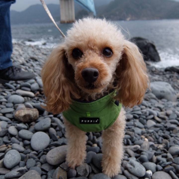 900ee6fb cc50 471a 801a 543e8e64f438 1547360132626