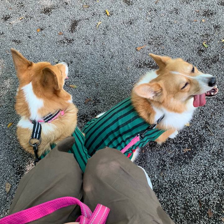 900ee792 7c73 44f5 b512 70a42f67e89f 1567298181012