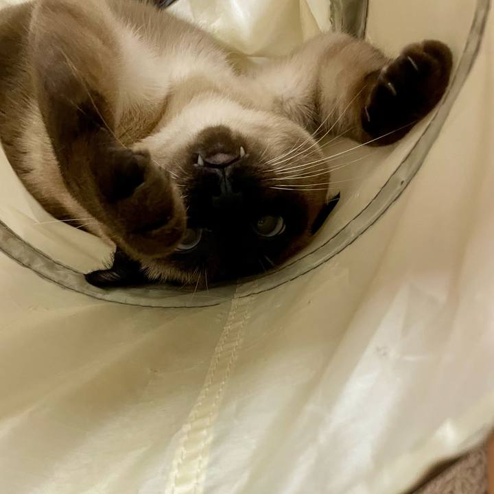 900efb4c 943f 46e1 b7e3 0730545d5191 1762203157411