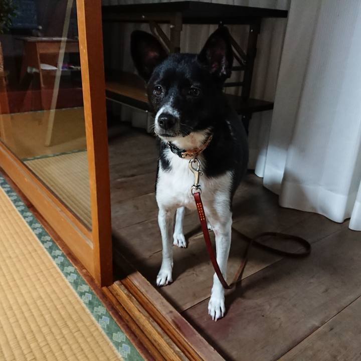 900f18a4 7272 48a8 8a30 1cf14d9361ca 1538817862824