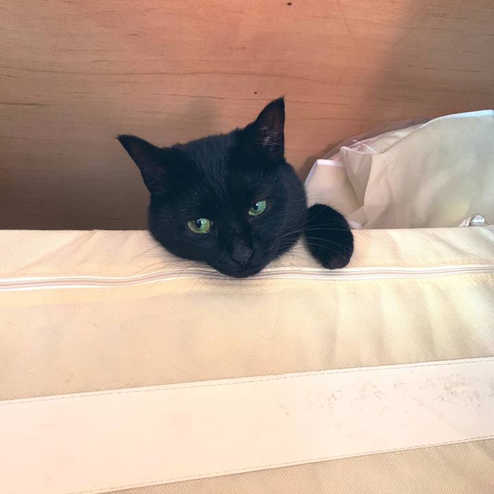 900f3255 26ba 45d2 bf86 fd5a3131a56d 1546856646732