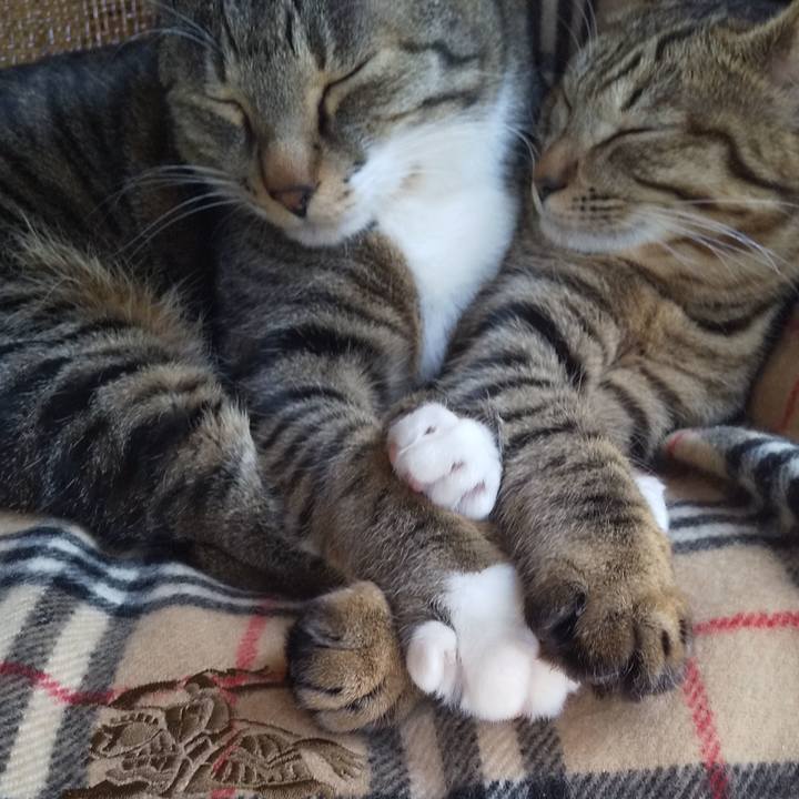 900f4c40 47ea 484b 9e00 aeb1bd743c82 1649297753654