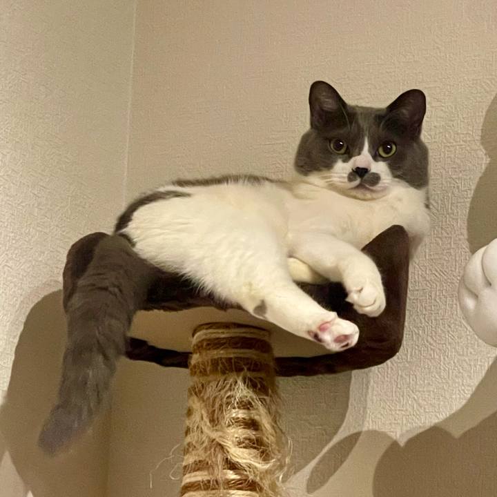 900f6b56 a003 4180 ab93 d12e5c6c0fab 1745249204486