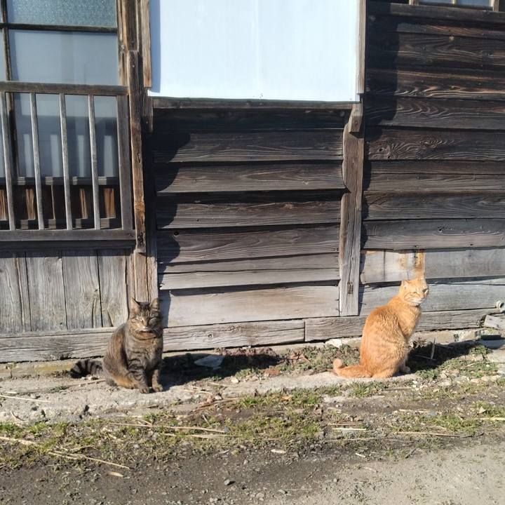 900fb703 51ae 472a 8d3d 7fcb837f528e 1677996956524