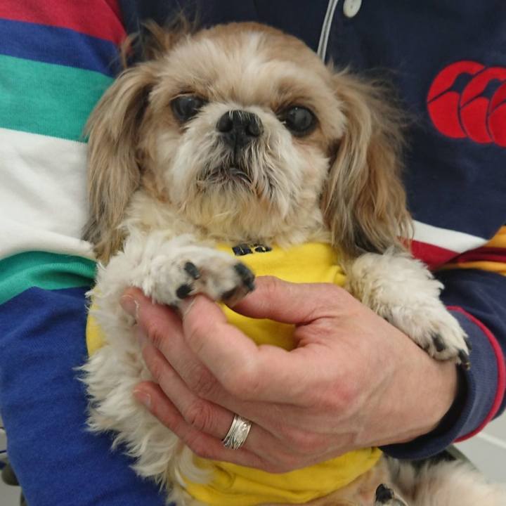 900fc0f0 f333 4803 9465 21cf29f33536 1646315582522