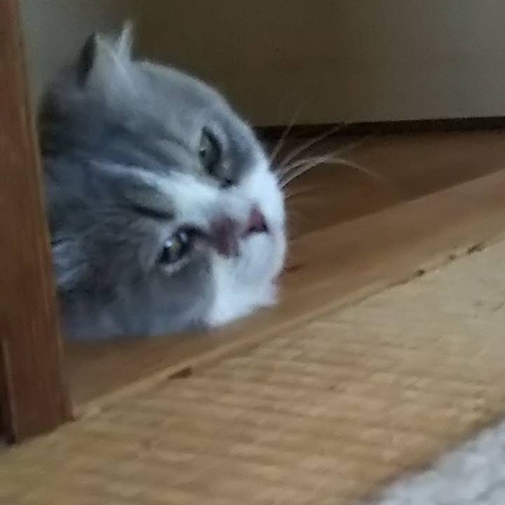 900fc431 b361 4368 8a16 1eba06f3f241 1628583997652