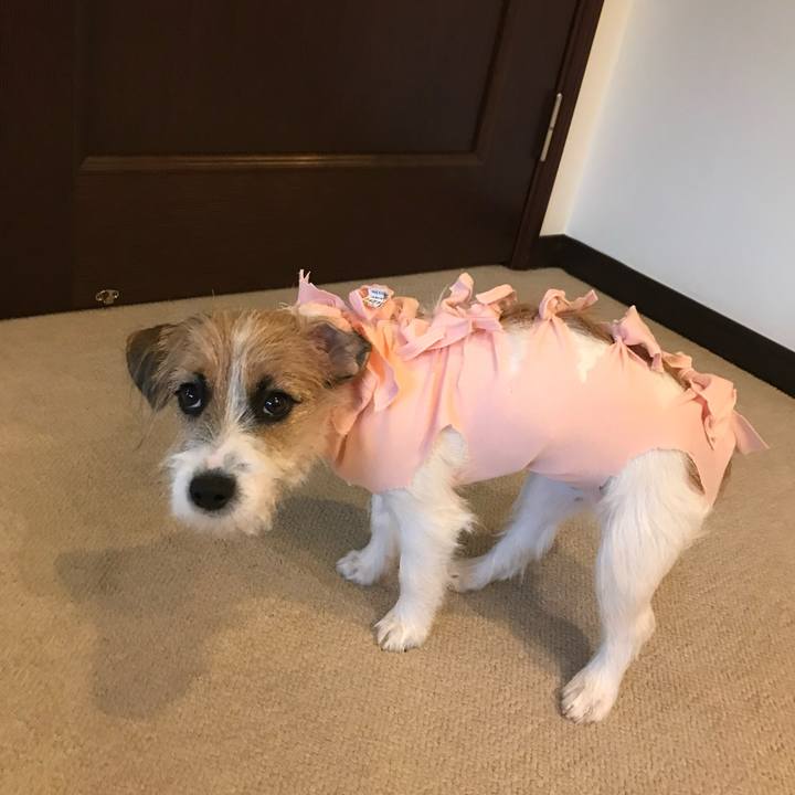 900fcba3 cad1 4c08 9b7a 5c21d49e5f16 1762432631050