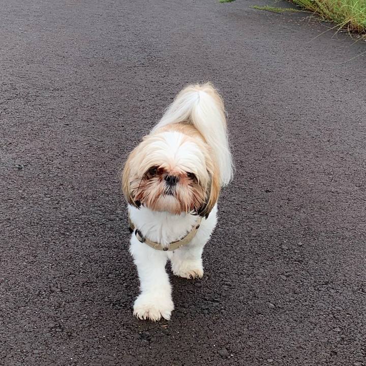 900fcc82 f252 46ec aac3 06059aa9c4b5 1630898546886