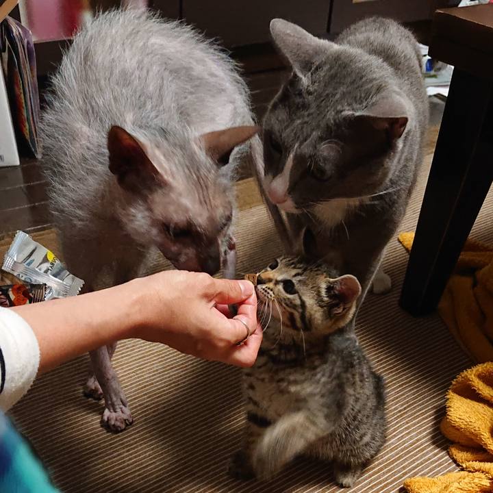 901023b9 dbdb 4ac3 b57e 62c0f3d81566 1559220452564