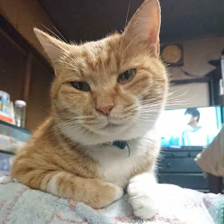 901036ee 6fdd 4037 b4ba 89685970553b 1606547388946