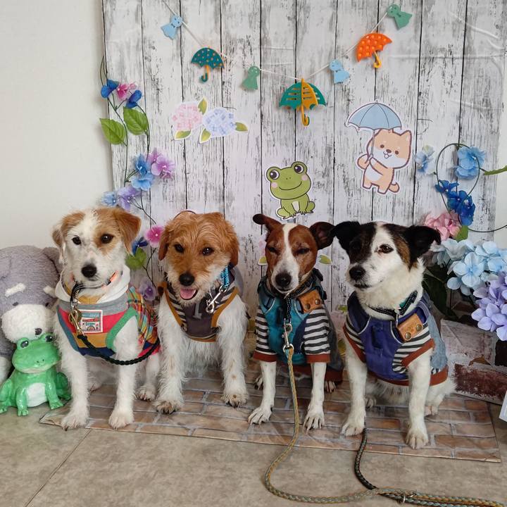 90103e98 850e 457f bfe6 e870f1e7acd6 1714996744584