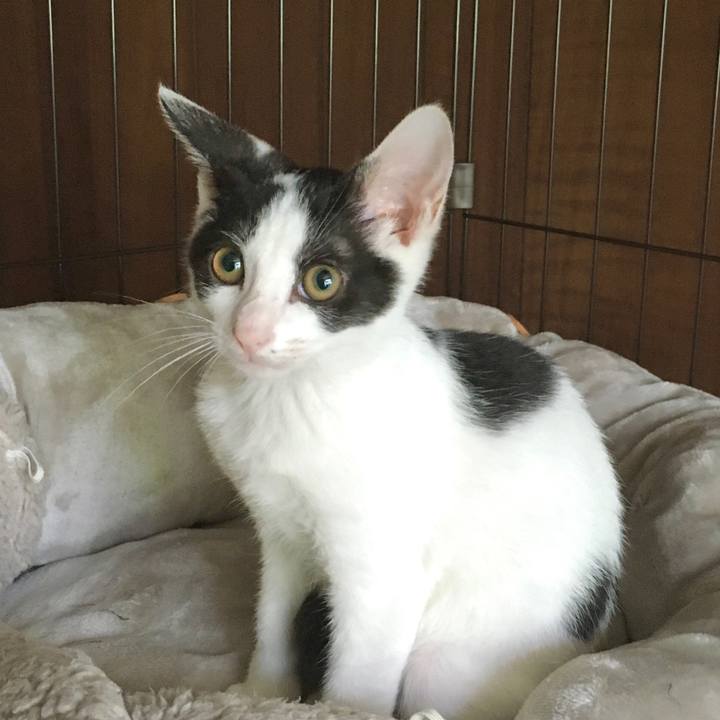 9010c4c2 0743 4a98 a670 31a1b8acae27 1628027323038