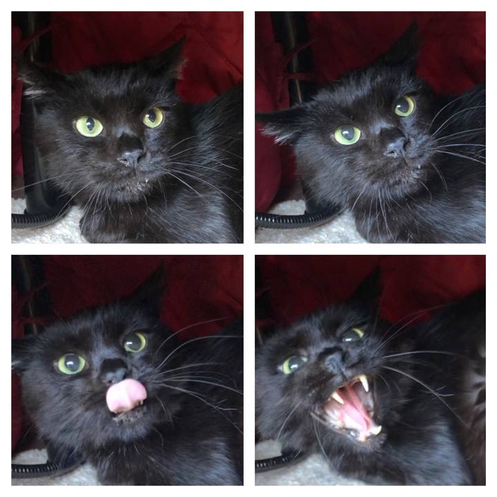 9010e09c 5751 47f4 9c70 bd063ee1f2d4 1620979336659