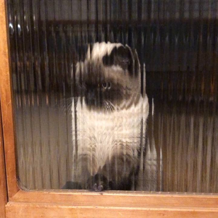 90112185 733d 4407 9abd ad054e719b20 1609581709120