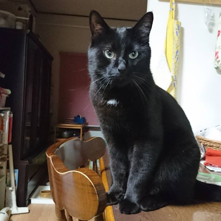 901122cb b181 4cfe a4b5 ddda0b2411ca 1534339798517