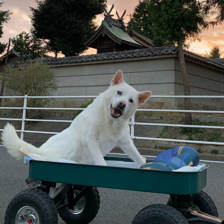 9011626c e7ea 4dfd b6ff 7c0a237e76c7 1570317216213