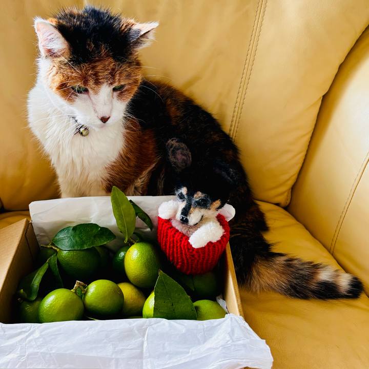 9011655f c487 4a88 bd3b 80e868687d3c 1726450774807