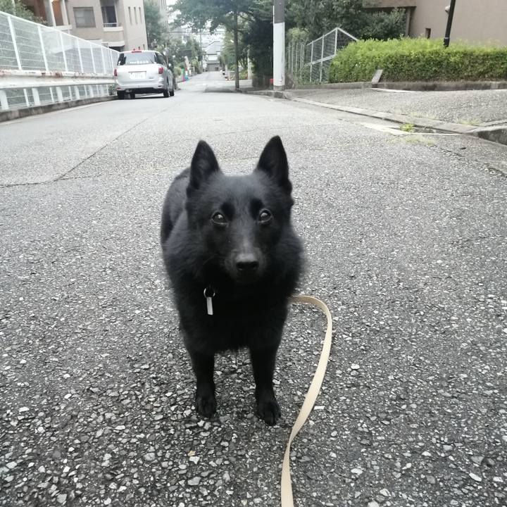 90117a01 778b 4c1f 96f9 3a1034481597 1629146831376