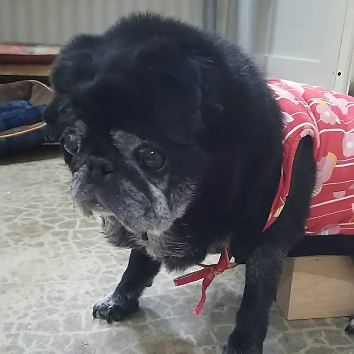 9011aa65 0eff 4df3 91af 6fd5b727ae66 1548740121440