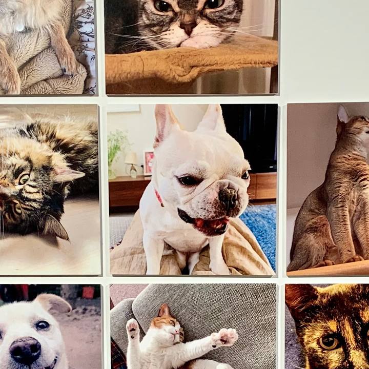 9011ecee e012 4a24 bf22 b77a2da19020 1592640033496